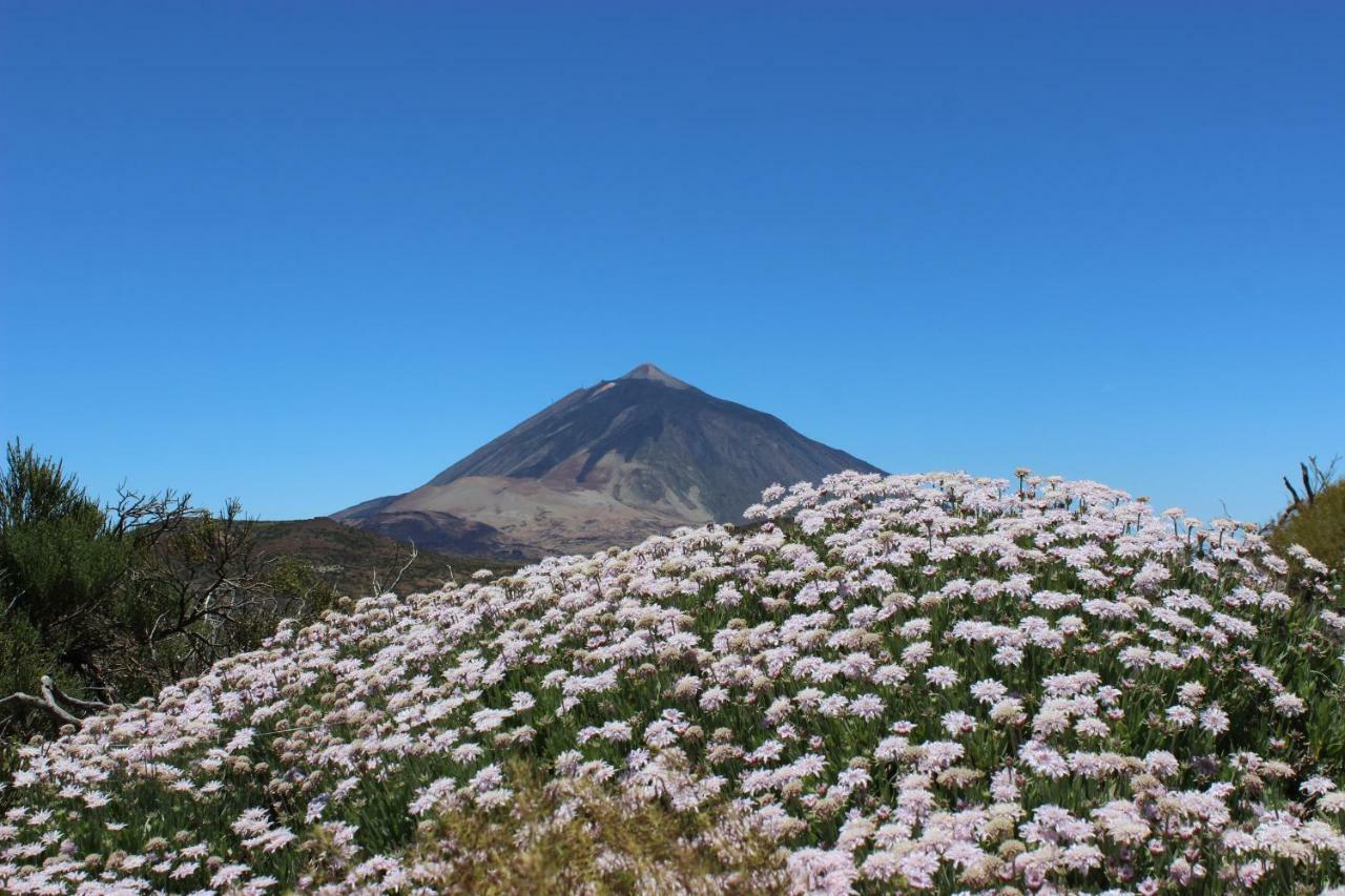 Apt El Perenquen Santa Cruz de Tenerife Kültér fotó